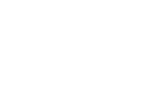 Orion Distribuidora